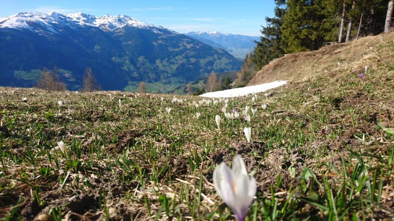 Hotel Haus Binder Ried im Zillertal Esterno foto